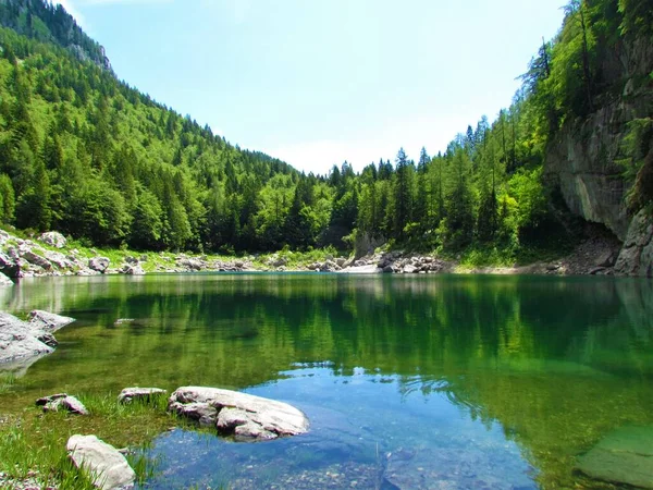 Scénické Jezero Komarca Nebo Černé Jezero Údolí Triglavských Jezer Juliánských — Stock fotografie