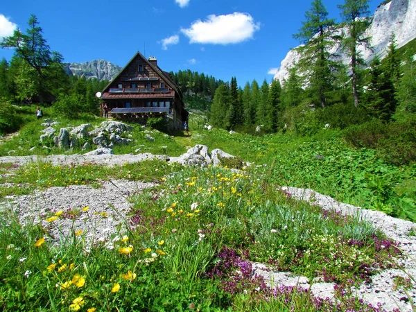 Berghut Triglav Meren Vallei Julian Alps Gorenjska Slovenië Een Zonnige — Stockfoto