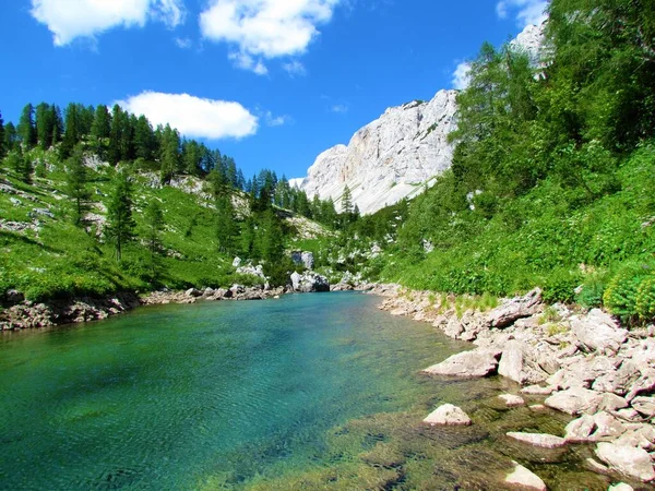 Lago Escénico Valle Los Lagos Triglav Los Alpes Julianos Parque —  Fotos de Stock