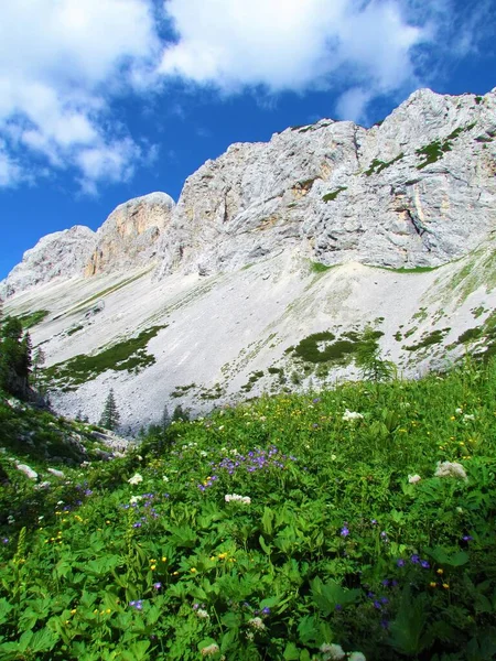 Majestosas Montanhas Julian Alps Triglav Parque Nacional Eslovénia Prado Exuberante — Fotografia de Stock