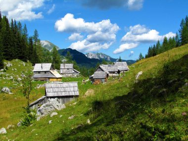 Julian Alpleri ve Triglav Ulusal Parkı, Slovenya ve arkasındaki tepelerde geleneksel ahşap kulübeleri olan Visevnik 'in Idyllic dağ çayırı