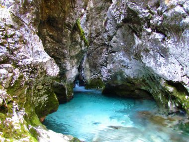 Slovenya 'daki Kamniska bistrica nehri Predaselj vadisinden akıyor