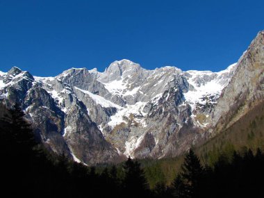 Slovenya 'daki Kamnik-Savinja Alplerinde dağ kayağı manzarası