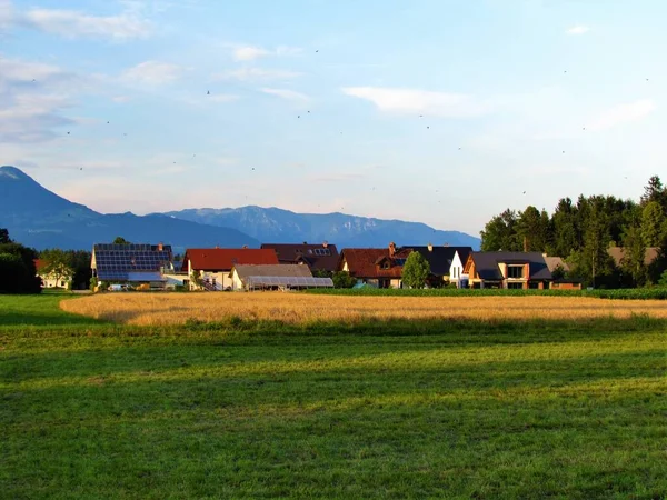 Widok Wieś Sorsko Polje Gorenjska Słowenia Pole Pszenicy Przed Wzgórza — Zdjęcie stockowe