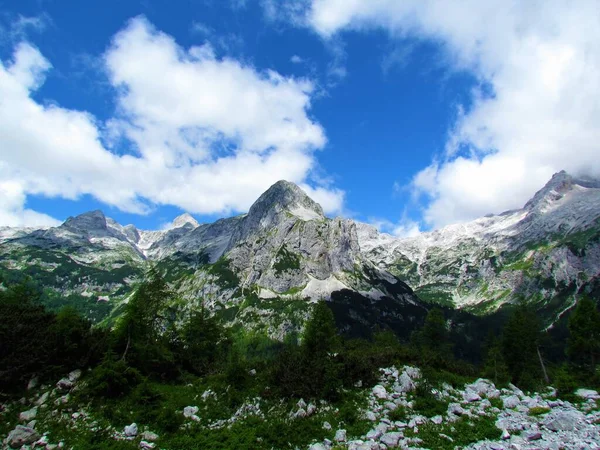 位于斯洛文尼亚Julian Alps和Triglav国家公园Velo Polje上方的Miseljski Vrh山风景图 — 图库照片