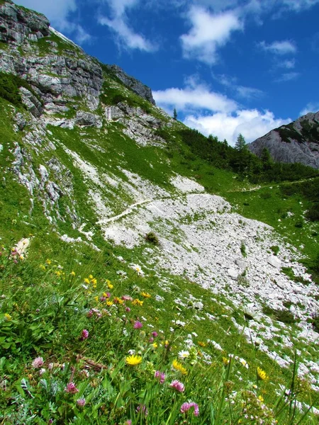 Alpine Landschaft Mit Geröll Und Wiesen Mit Einem Pfad Der — Stockfoto