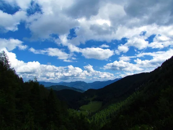 View Forest Covered Pokljuka Plateau Julian Alps Triglav National Park — Stock Photo, Image