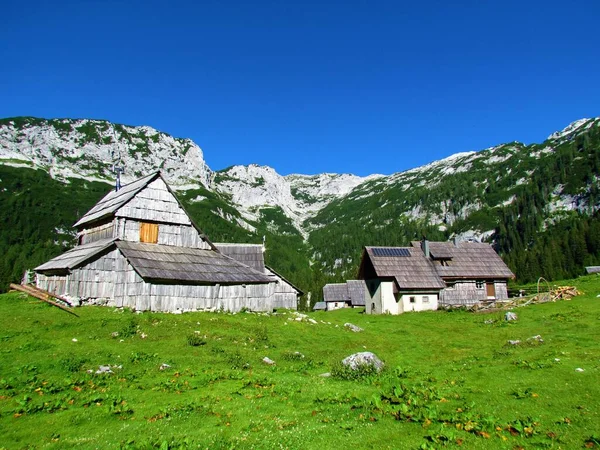 Architettura Tradizionale Pascolo Lat Nel Parco Nazionale Del Triglav Alpi — Foto Stock