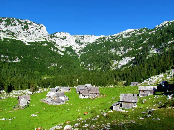 Julian Alpleri Triglav Ulusal Parkı Gorenjska Slovenya Geleneksel Kulübeleriyle Laz — Stok fotoğraf