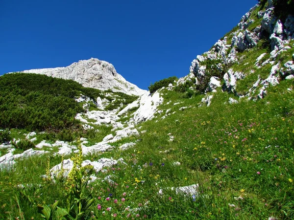 Julian Alpleri Triglav Ulusal Parkı Ndaki Debeli Vrh Dağı Manzarası — Stok fotoğraf