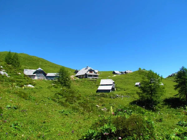 Vista Krstenica Pasto Julian Alps Triglav Parque Nacional Gorenjska Eslovênia — Fotografia de Stock