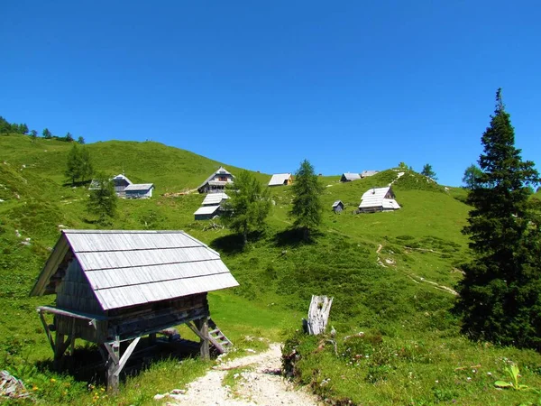 Uitzicht Krstenica Weide Julian Alps Triglav Nationaal Park Gorenjska Slovenië — Stockfoto
