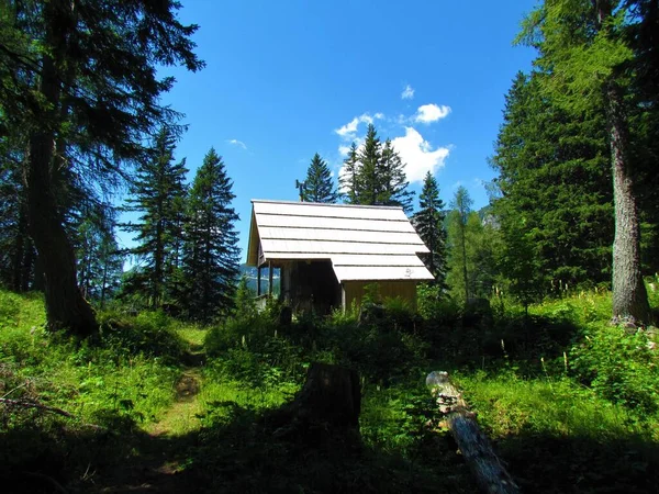 Idillyc cottage in a clearing in the middle of a spruce forest in Triglav national park and Julian alps, Slovenia with sunlight shining on the roof