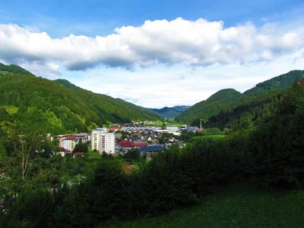 Widok Małe Miasteczko Zelezniki Dolinie Selskiej Regionie Gorenjska Słowenii Otoczony — Zdjęcie stockowe