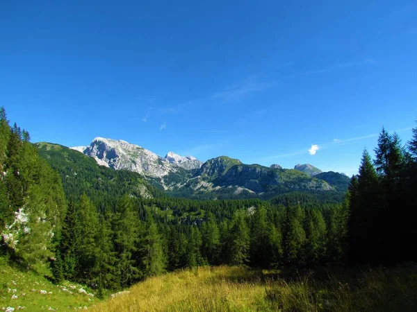 Γραφική Θέα Των Βουνών Debeli Vrh Και Ogradi Julian Άλπεις — Φωτογραφία Αρχείου