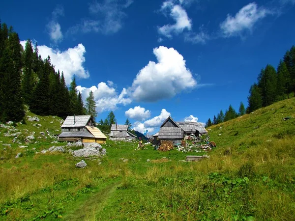 Alpeggio Idilliaco Visevnik Con Baite Tradizionali Legno Nelle Alpi Giulie — Foto Stock