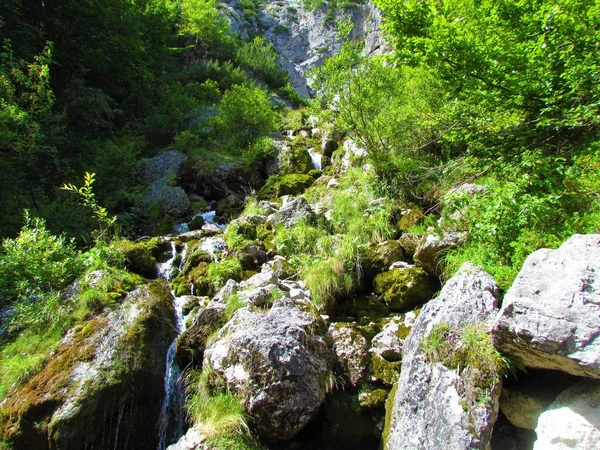 Nadiza Creek Tamar Valley Julian Alps Slovenia Large Rcoks Covered — Stock fotografie