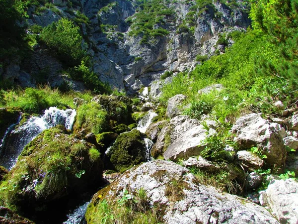 Nadiza Creek Tamar Valley Julian Alps Slovenia Large Rcoks Covered — Stock fotografie