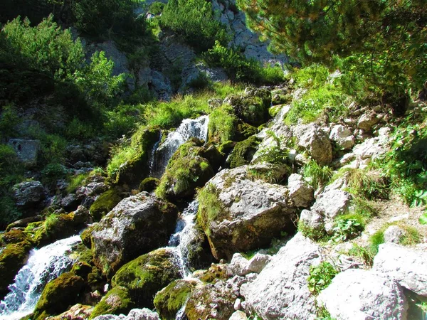 Nadiza Arroyo Valle Tamar Los Alpes Julianos Eslovenia Con Grandes — Foto de Stock