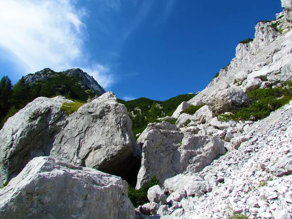 Alpská Krajina Sutí Mugo Borovicí Karavanských Horách Slovinsku Velkými Balvany — Stock fotografie