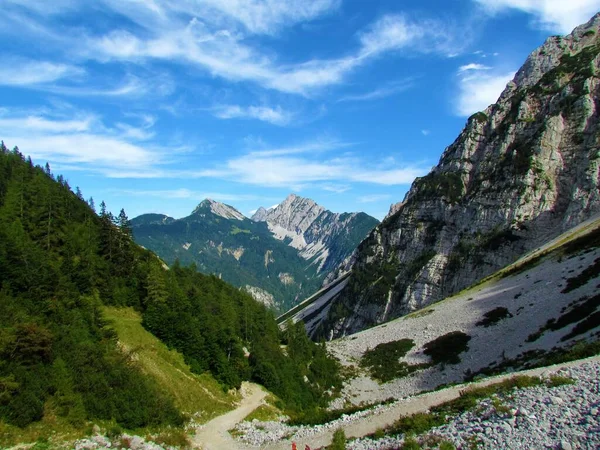 Vue Sur Les Montagnes Kosutica Veliki Vrh Gorenjska Slovénie Zelenica — Photo