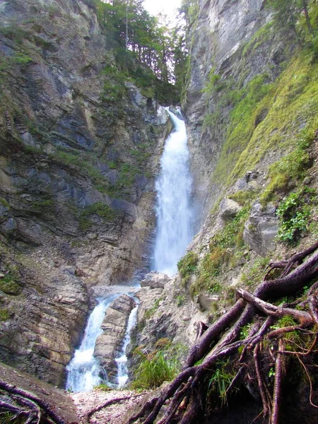 Καταρράκτης Martuljek Κοντά Στο Gozd Martuljek Στο Julian Alps Και — Φωτογραφία Αρχείου