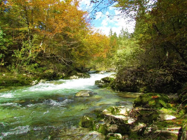 Mostnica Creek Mostnica Gorge Gorenjska Slovenia Surrounded Colorful Orange Yellow — Stock fotografie