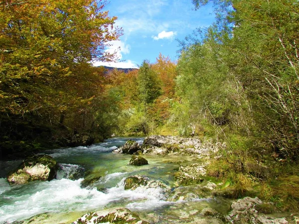 Torrente Mostnica Mostnica Gorge Gorenjska Slovenia Circondato Colorati Arancioni Giallo — Foto Stock