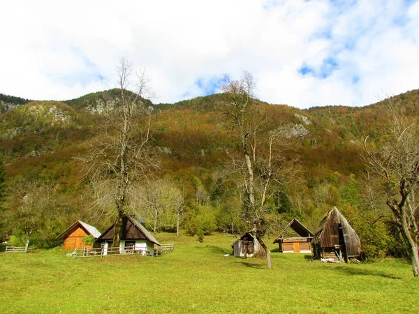 Prado Vale Voje Gorenjska Eslovênia Com Pequenas Cabanas Madeira Altas — Fotografia de Stock