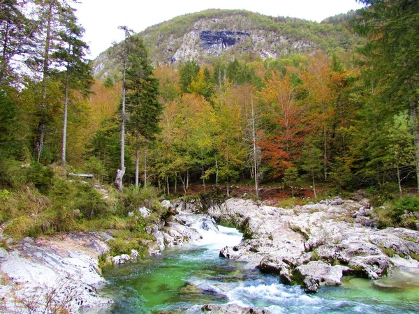 Mostnica Creek Mostnica Rokle Gorenjska Slovinsko Žlutá Oranžová Červená Barva — Stock fotografie