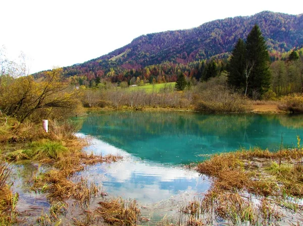 Hermoso Lago Zelenci Cerca Kranjska Gora Gorenjska Eslovenia Con Reflejo —  Fotos de Stock