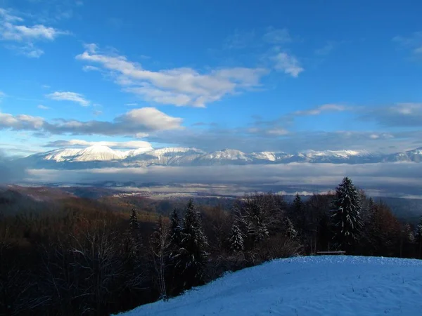 Pohled Hory Pohoří Karawanks Zimě Zabalené Mlze Mlze Gorenjské Slovinsko — Stock fotografie