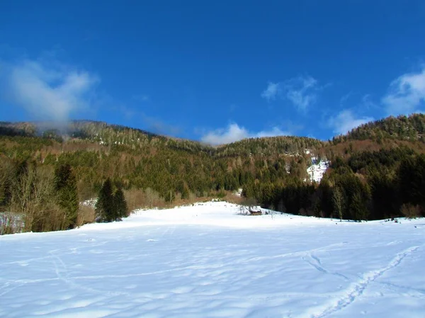 Prati Innevati Boschi Misti Conifere Latifoglie Che Ricoprono Colline Karawanks — Foto Stock