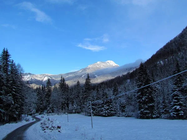 斯洛维尼亚Gorenjska市Jezersko上空阳光普照的雪山 以及覆盖着云杉林和前面田野的霜冻 — 图库照片