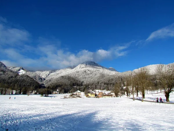 Winter Ansicht Der Hügel Nadelwald Über Häusern Dorf Jezersko Gorenjska — Stockfoto