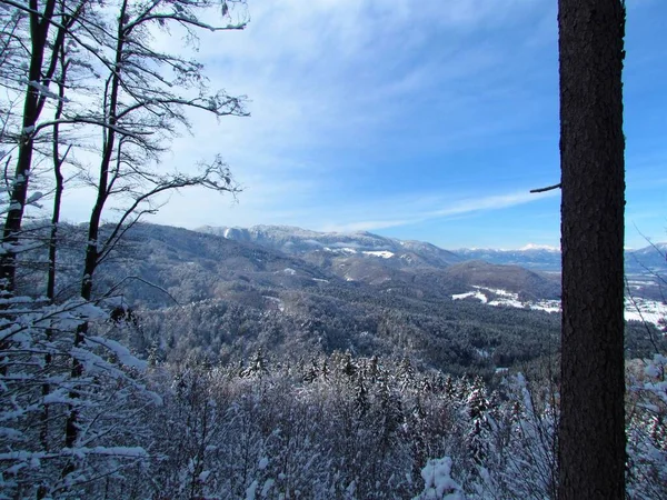 Vista Invierno Meseta Jelovica Gorenjska Eslovenia Cubierta Bosque —  Fotos de Stock
