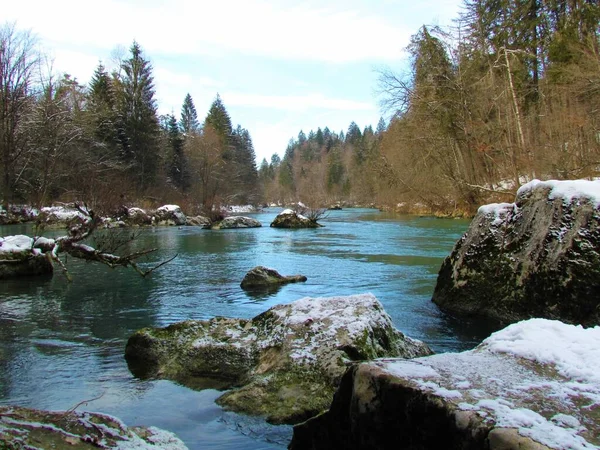 Pohled Řeku Sávu Lesem Březích Zimě Gorenjské Slovinsko — Stock fotografie
