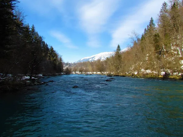 겨울에 강둑을 숲으로 슬로베니아 스카의 카라와 산맥을 뒤덮고 — 스톡 사진