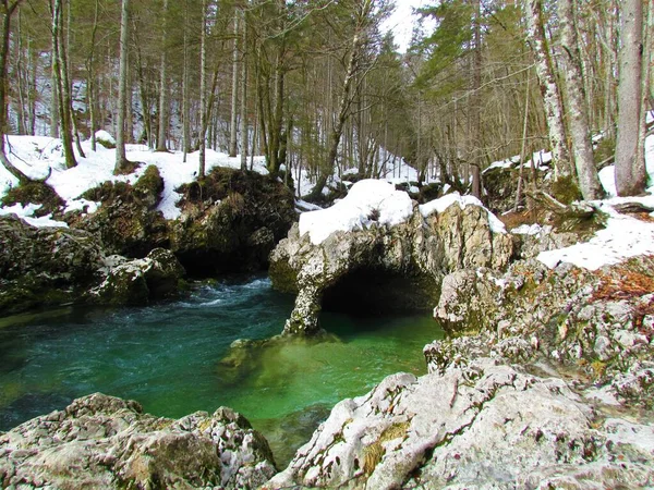 Formation Roche Gorge Mostnica Gorenjska Slovénie Hiver Coulant Travers Une — Photo