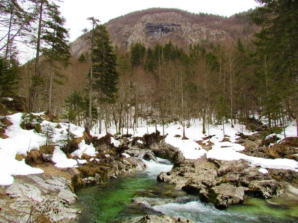 Mostnica Creek Kority Mostnice Gorenjské Slovinsko Zimě — Stock fotografie