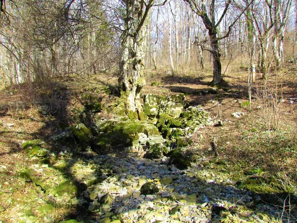 Trockene Karstquelle Der Nähe Des Cerknica Sees Notranjska Slowenien Mit — Stockfoto