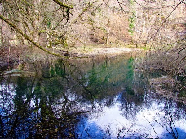 Piękne Jezioro Pobliżu Jeziora Cerknica Notranjskiej Słowenia Odbiciem Drzew Nieba — Zdjęcie stockowe
