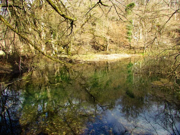 Gyönyörű Közelében Cerknica Notranjska Szlovénia Tükröződik Fák Tóban Egy Erdő — Stock Fotó