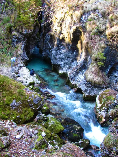 Kamniska Bistrica Río Que Fluye Estrecho Pasaje Garganta Predaselj Eslovenia — Foto de Stock