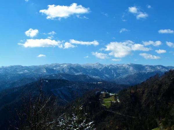 View Trnovo Forest Plateau Mali Golak Littoral Region Slovenia Covered — Stock Photo, Image