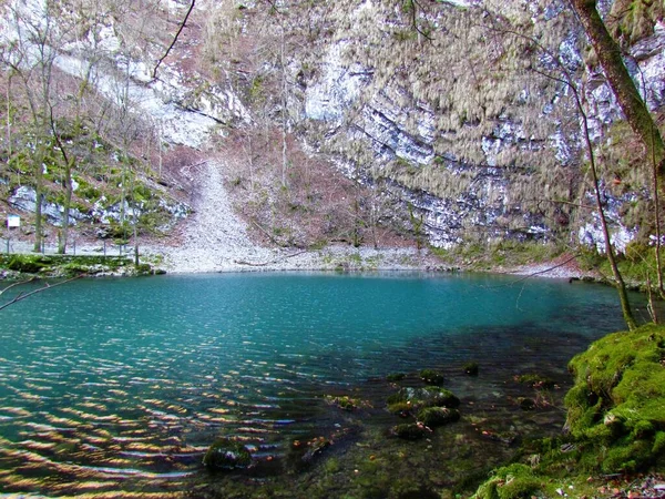 Lago Selvaggio Divje Jezero Vicino Idrija Nella Regione Del Litorale — Foto Stock