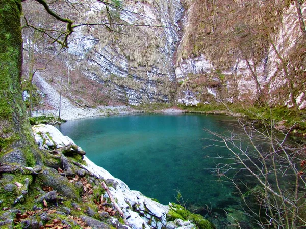 Lago Selvaggio Divje Jezero Vicino Idrija Nella Regione Del Litorale — Foto Stock