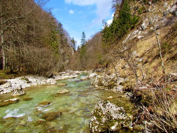 Hermoso Río Iska Iski Garganta Vintgar Eslovenia Con Árboles Desnudos —  Fotos de Stock