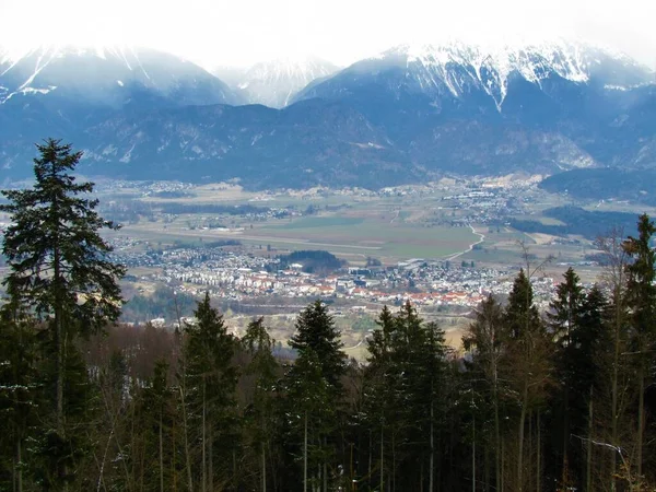 Blick Auf Die Stadt Radovljica Gorenjska Slowenien Umgeben Von Feldern — Stockfoto