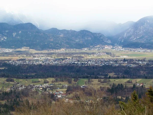 Luftaufnahme Der Stadt Lesce Gorenjska Slowenien Umgeben Von Wald Feldern — Stockfoto
